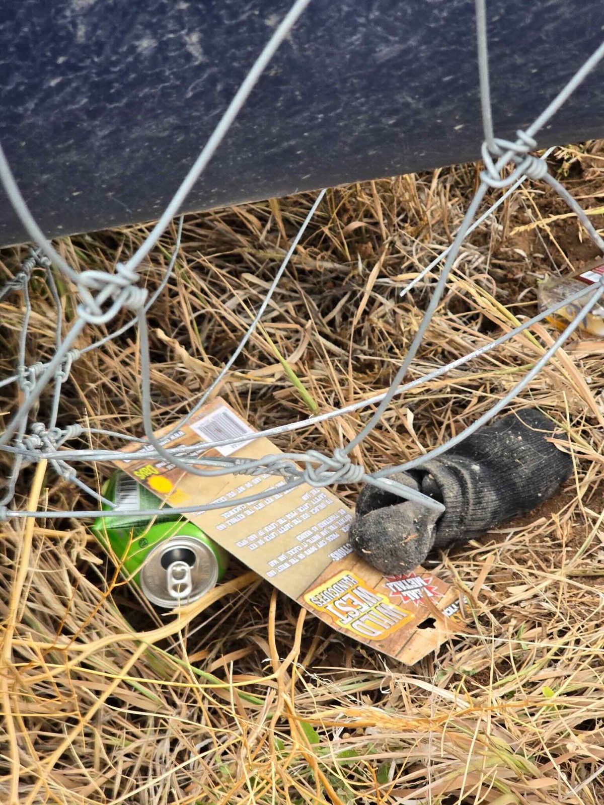 Empty beer can found near the scene